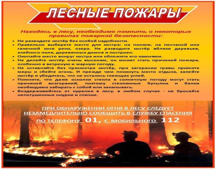 Огонь-опасная игра!. Огонь-опасная игра!.